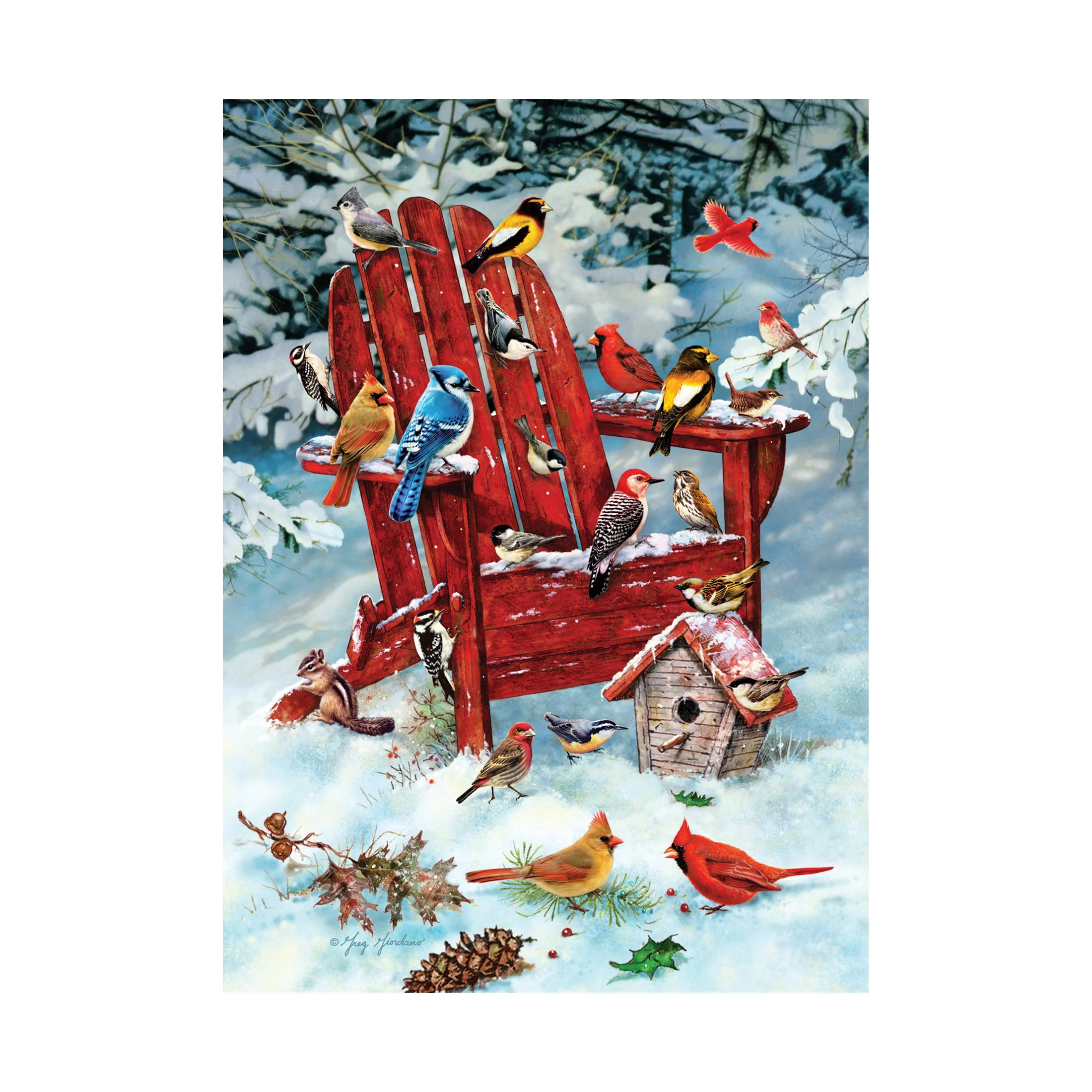 Adirondack Birds Puzzle: 1000 Pcs