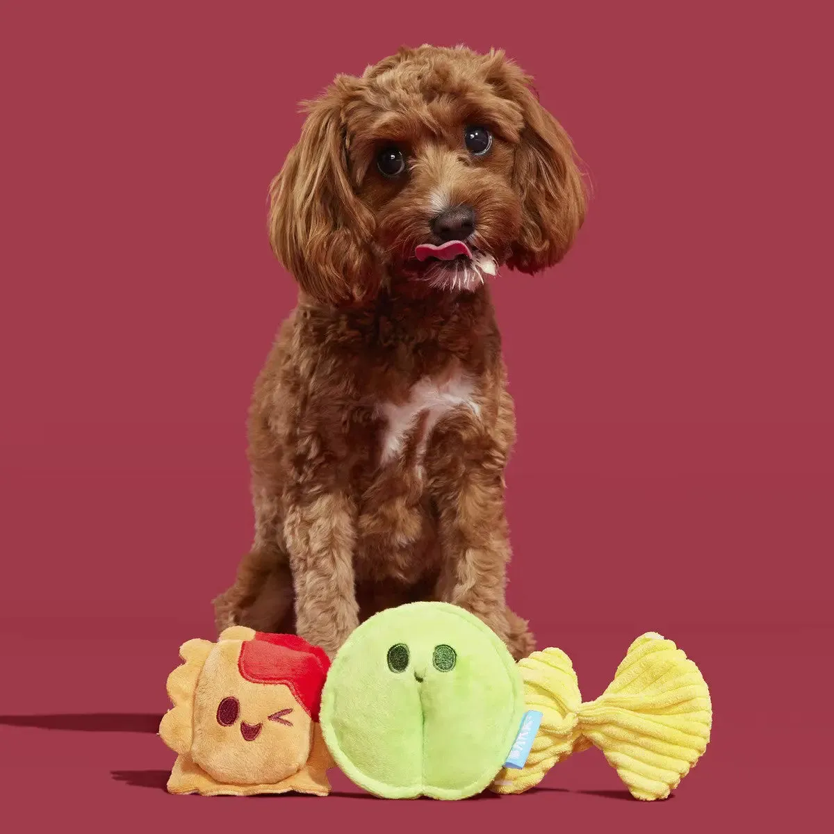 BARK Ravioli Homies Plush Dog Toy