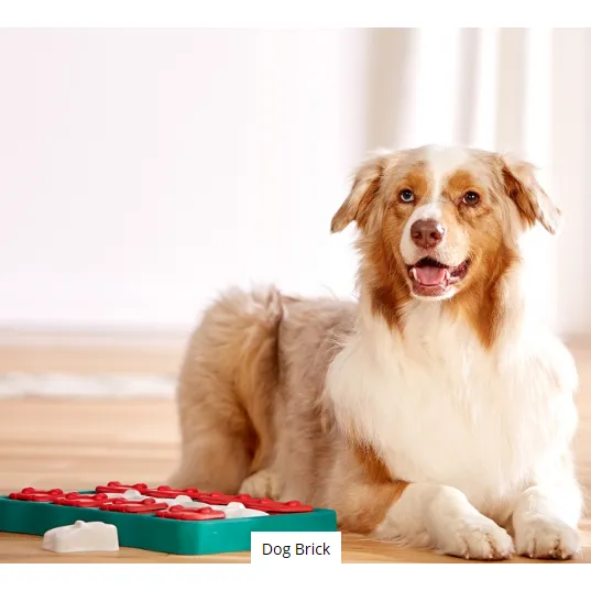dog brick puzzle toy