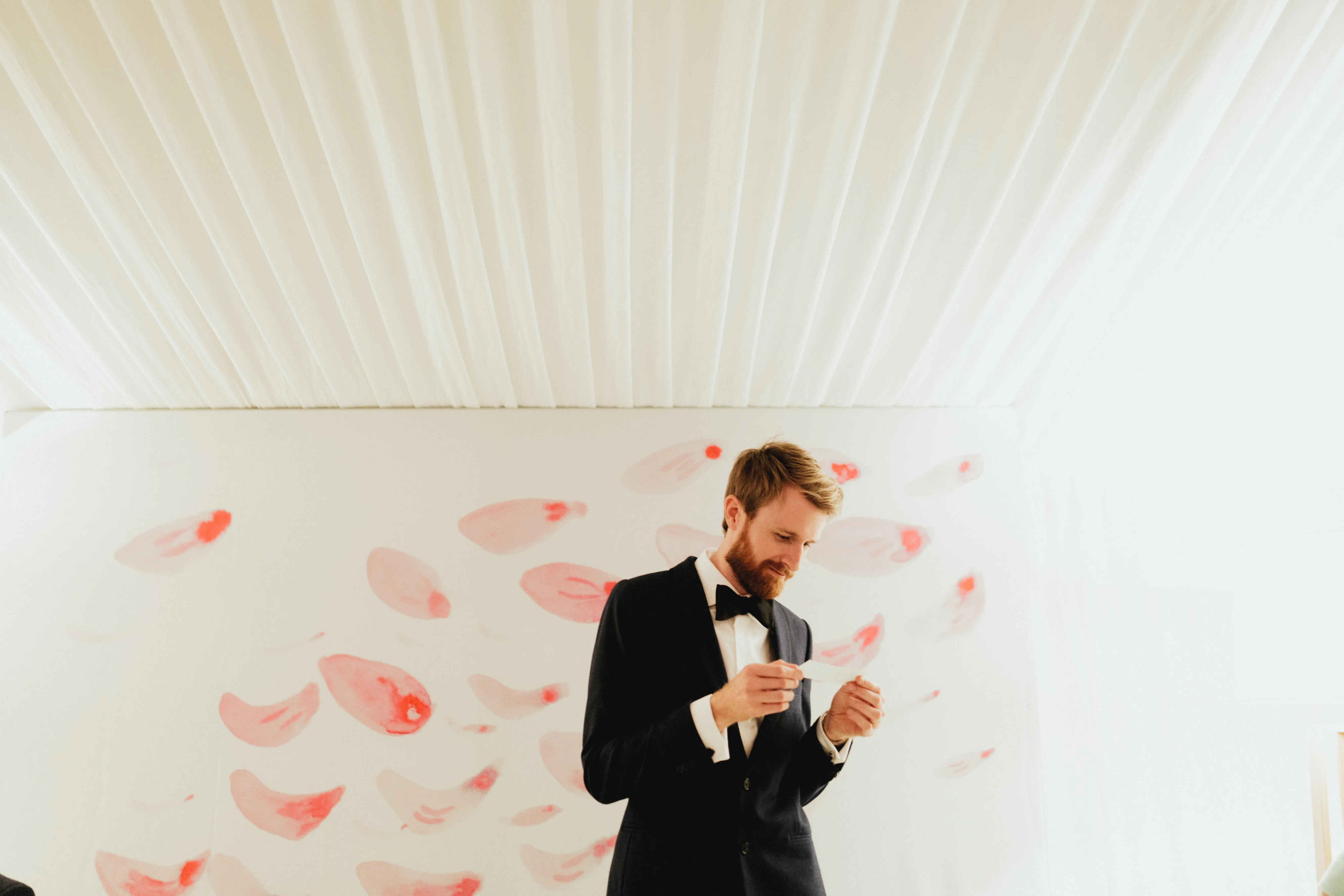 Petal Fabric Backdrop
