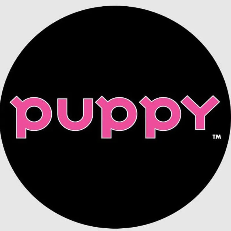 Puppy Squeaking Bone Ball Dog Toy