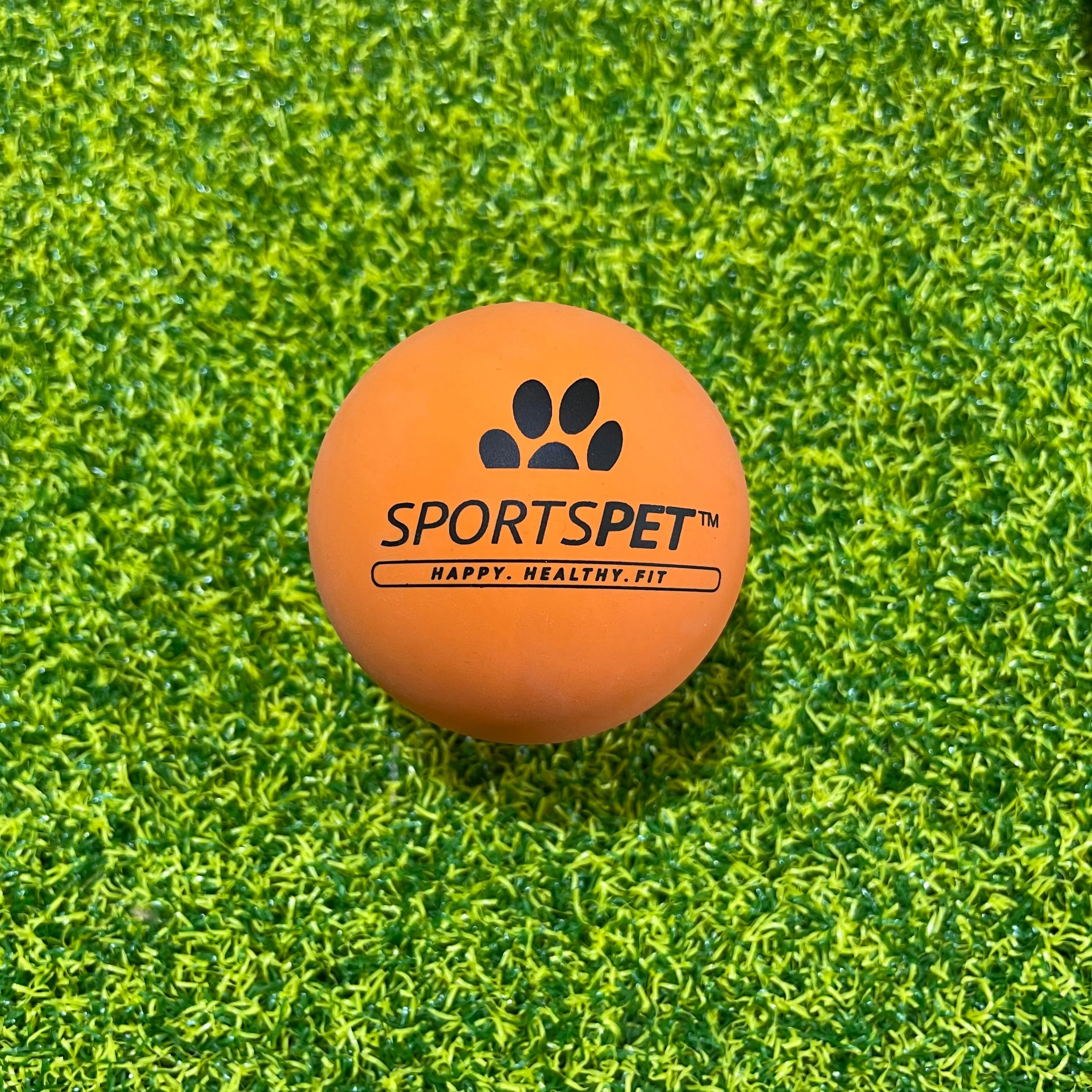 SportsPet High Bounce Rubber Ball